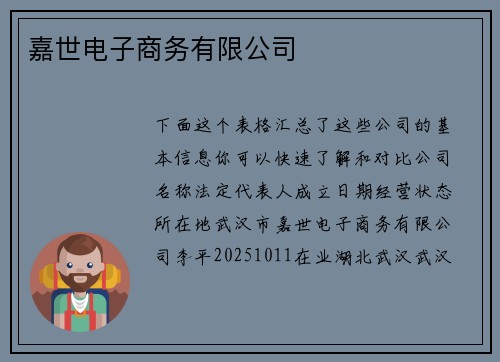 嘉世电子商务有限公司